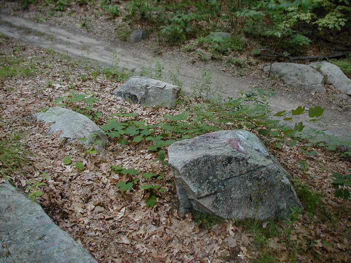 Three chunks broken off from Cobble Rock, 2005.