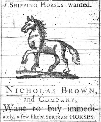 1764 ad for horses to buy