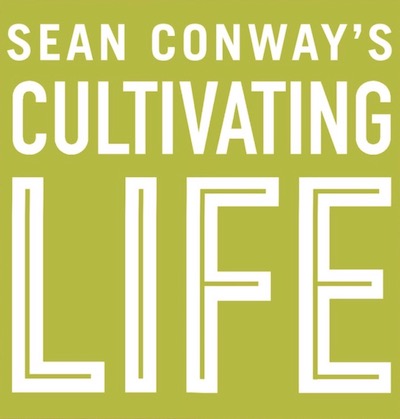 Cultivating Life book cover detail